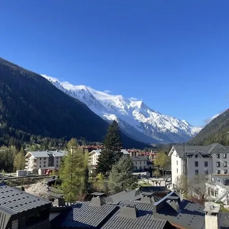 A Stunning Duplex Flat Near The Grands Montets Chamonix